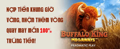 20% Reload Bonus